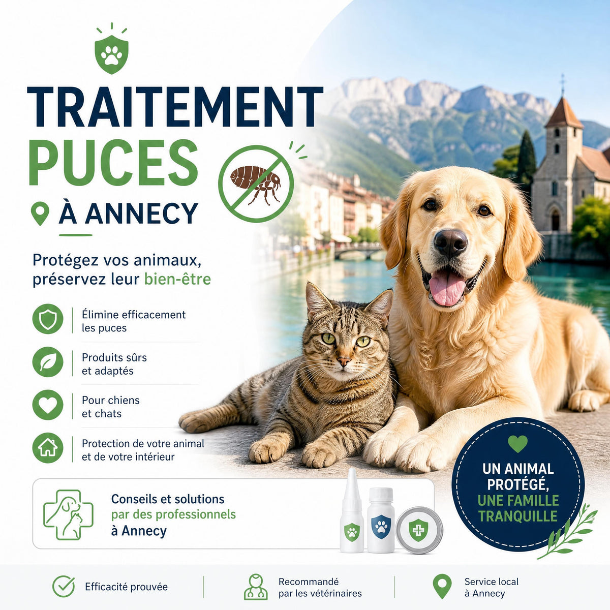 Puces dans un appartement à Annecy après un déménagement : pourquoi apparaissent-elles sans animal ?